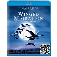 蓝光电影碟片/《鸟的迁徙/鸟与梦飞行》/简装BD25G/现货/